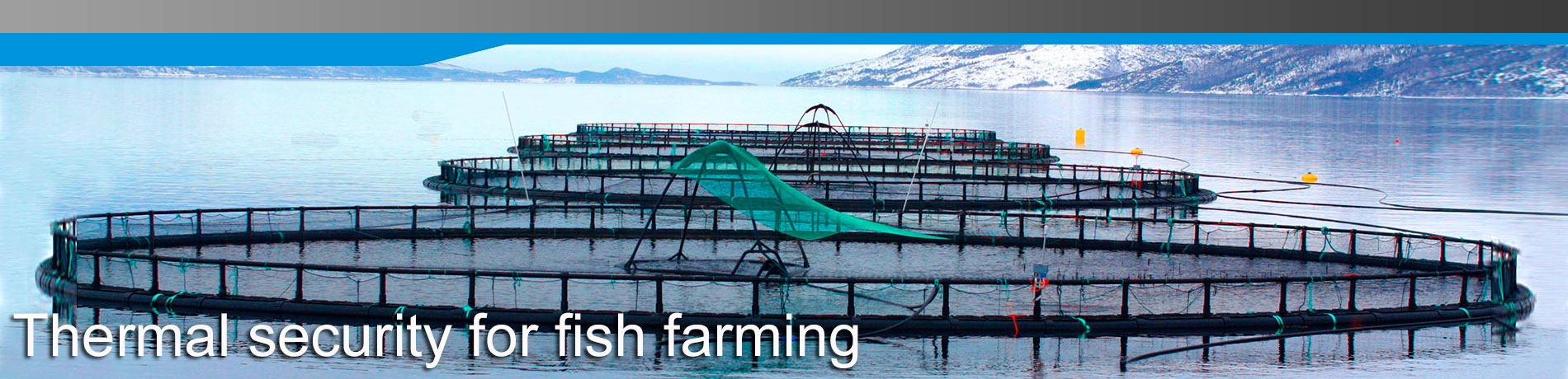 FISH FARMING SOLUTIONS